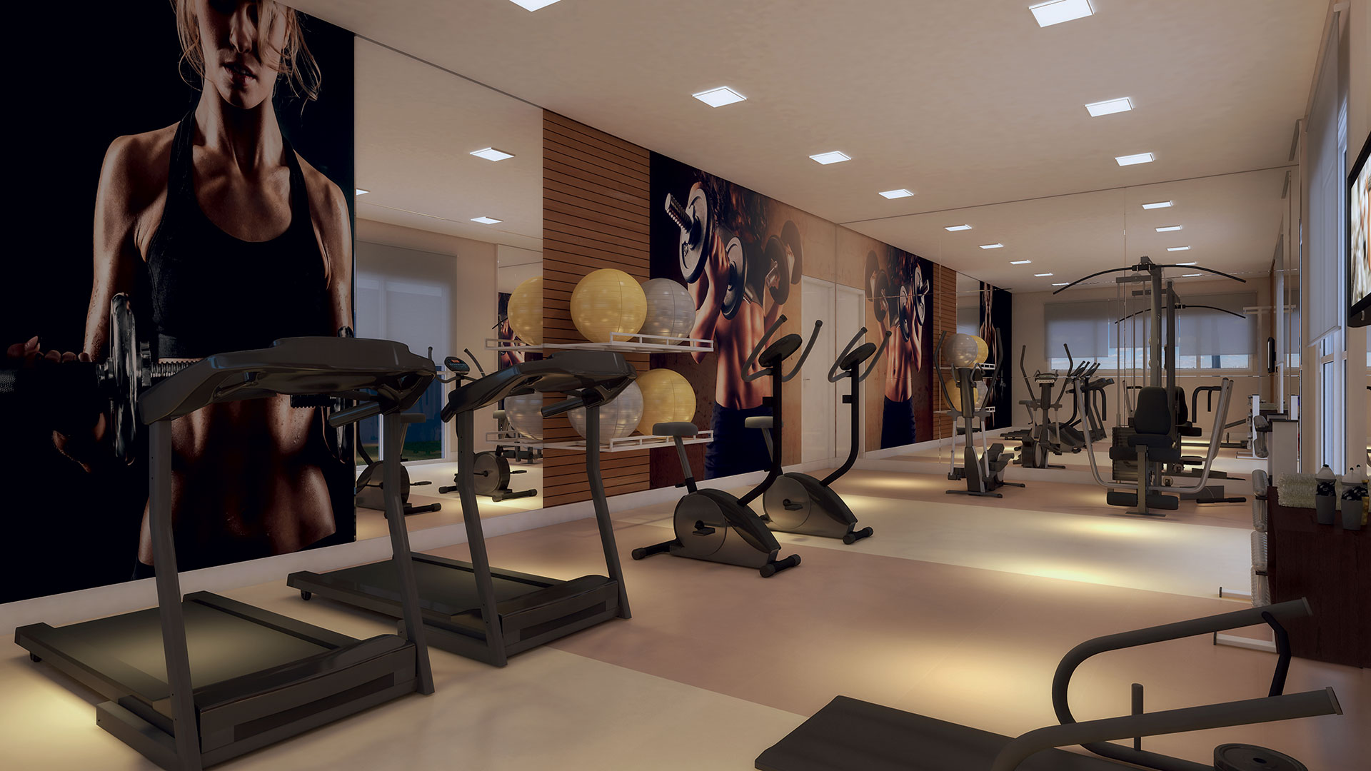 Perspectiva Artística do Fitness